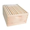 Good Land Bee Supply Beekeeping Beehive Brood Kit includes Frames, Foundations, Brood Box and Spacer