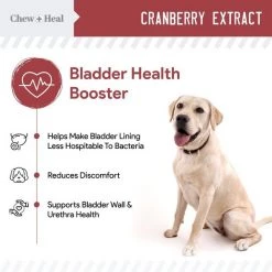 Chew + Heal Cranberry UTI Protection - 120 Chews -Animal&Pet Supplies store Click20Industries20LLC 1337658xx695f19