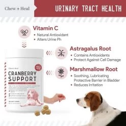 Chew + Heal Cranberry UTI Protection - 120 Chews -Animal&Pet Supplies store Click20Industries20LLC 1337659xx8ea003