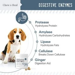 Chew + Heal Digestive Enzymes - 120 Chews -Animal&Pet Supplies store Click20Industries20LLC 1337664xx1e9f25