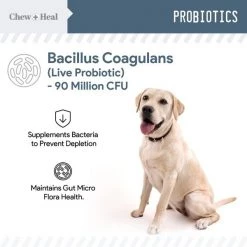 Chew + Heal Digestive Enzymes - 120 Chews -Animal&Pet Supplies store Click20Industries20LLC 1337665xx222084