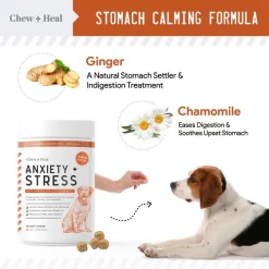 Chew + Heal Anxiety & Stress - 60 Chews -Animal&Pet Supplies store Click20Industries20LLC 1337690xx416ffe