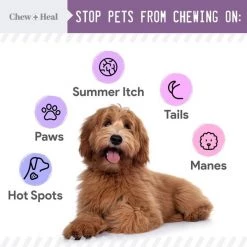 Chew + Heal No Chew Spray - 8oz -Animal&Pet Supplies store Click20Industries20LLC 1337877xxad0cca