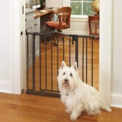 North States Brown 28.5 in. H X 28.25-38.25 in. W Metal Pet Gate -Animal&Pet Supplies store Emery20Jensen20Distribution20LLC 5020075xxAxxv1.epsxxMaxxx12f357
