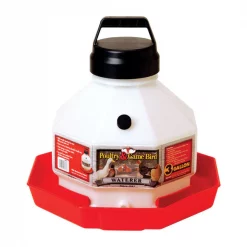 Little Giant Poultry Fount 3 Gal