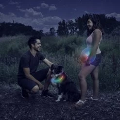 Nite Ize NiteHowl Disco Plastic Dog LED Necklace -Animal&Pet Supplies store Emery20Jensen20Distribution20LLC 8033609xxAxxv9.epsxxMaxxx8a4656