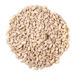 Natures Nuts Assorted Species Sunflower Hearts Wild Bird Food 8 lb -Animal&Pet Supplies store Emery20Jensen20Distribution20LLC 8039087xxAxxv1.epsxxMaxxx710109