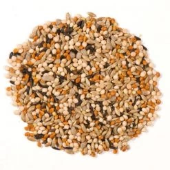 Natures Nuts Premium Finch Millet Wild Bird Food 10 lb -Animal&Pet Supplies store Emery20Jensen20Distribution20LLC 8039110xxAxxv1.epsxxMaxxx96bd64