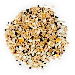 Natures Nuts Deluxe Assorted Species Millet Wild Bird Food 5 lb -Animal&Pet Supplies store Emery20Jensen20Distribution20LLC 8039112xxAxxv1.epsxxMaxxx117c74