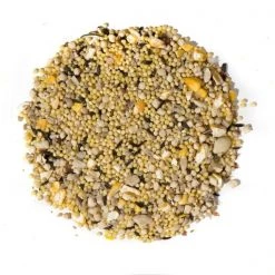 Natures Nuts Assorted Species Wild Bird Food 5 lb -Animal&Pet Supplies store Emery20Jensen20Distribution20LLC 8039114xxAxxv1.epsxxMaxxxacfd89