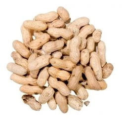 Natures Nuts Premium Assorted Species Whole Peanuts Wild Bird Food 3 lb -Animal&Pet Supplies store Emery20Jensen20Distribution20LLC 8039121xxAxxv1.epsxxMaxxx5fe36d