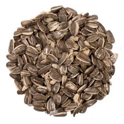Natures Nuts Premium Assorted Species Striped Sunflower Seed Wild Bird Food 3 lb -Animal&Pet Supplies store Emery20Jensen20Distribution20LLC 8039242xxAxxv1.epsxxMaxxx0642e8