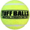 Petsport BALL DOG TOY GREEN 2.5""