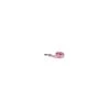 Petmate LEASH PINK 6'L
