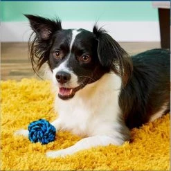 Multipet PET TOY BALL COTTN 2.5""L -Animal&Pet Supplies store Emery20Jensen20Distribution20LLC 8063674xxAxxv2.epsxxHighxx7513fd