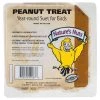 Natures Nuts Assorted Species Peanuts Suet 11 oz
