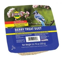 Audubon Park Berry Treat Suet Wild Bird Food 11 oz