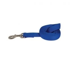 Petmate LEASH BLUE 5'LX3/8""W