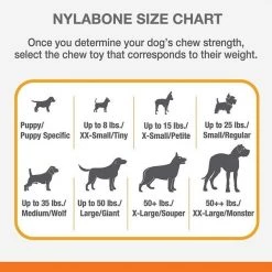 Nylabone TRET HLDING TOY BACON RD -Animal&Pet Supplies store Emery20Jensen20Distribution20LLC 8064347xxAxxv7.epsxxHighxx233b74