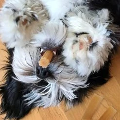 Himalayan Pet Supply Himalayan Pet Churro Cheese Grain Free Chews For Dogs 4 oz , 4PK -Animal&Pet Supplies store Emery20Jensen20Distribution20LLC 8064798xxAxxv7.epsxxMaxxx5999d0