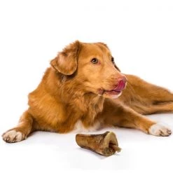 Himalayan Pet Supply Himalayan Pet Beef and Cheese Grain Free Bully Bone For Dogs -Animal&Pet Supplies store Emery20Jensen20Distribution20LLC 8064807xxAxxv4.epsxxMaxxx341335