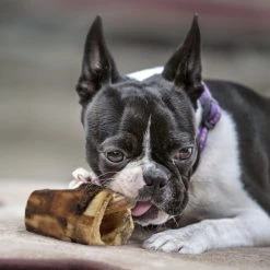 Himalayan Pet Supply Himalayan Pet Beef and Cheese Grain Free Bully Bone For Dogs -Animal&Pet Supplies store Emery20Jensen20Distribution20LLC 8064807xxAxxv5.epsxxMaxxxfdc1bd