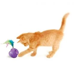 Spot TIE DYE ROLLER BALL ASST -Animal&Pet Supplies store Emery20Jensen20Distribution20LLC 8065085xxAxxv1.epsxxHighxxcce431