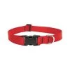 Lupine DOG COLLAR 12-20""ADJ RED
