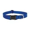 Lupine DOG COLLAR 16-28""ADJ BLU