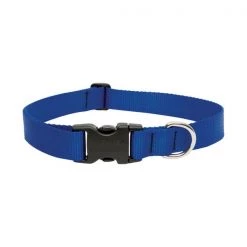 Lupine DOG COLLAR 12-20""ADJ BLU