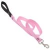 Lupine DOG LEASH 6FT 1"" PINK
