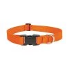 Lupine DOG COLLAR12-20""BLZORNG