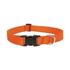 Lupine DOG COLLAR16-28""BLZORNG