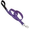 Lupine DOG LEASH 6 1"" JELLYROLL