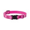 Lupine Dog Collar13-22Adj Pylv
