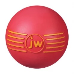 Jw Pet Isqueak Ball Dog Toy Med