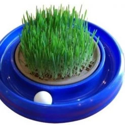 Bergan Turbo Cat Grass Brown 10" x 10" x 1"