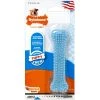 Nylabone Puppy Dental Chew Toy Petite Blue