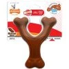 Nylabone Power Chew Wishbone Chew Toy Reg