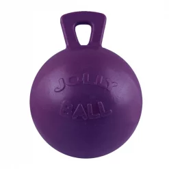 Horsemens Pride Jolly Ball with Handle 10" PURPLE