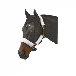 Jacks Imports Halter Kit ROYAL