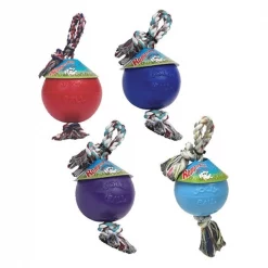 Jolly Pets Romp N Roll PURPLE 4.5"