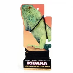 Coastal Pet Iguana Leash Combo