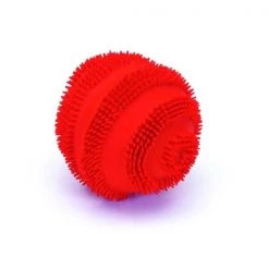 Coastal Pet Rascals Latex Spiny Ball 2.5"