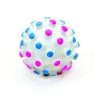 Coastal Pet Rascals Vinyl Mini Sphere 2.5"