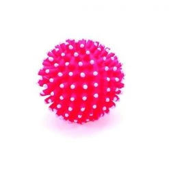 Coastal Pet Rascals Vinyl Spiny Ball 3"