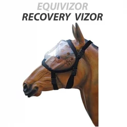 Provizor Products Equivizor Recovery Vizor PONY