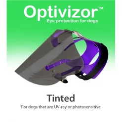 Provizor Products Tinted Optivizor MEDIUM