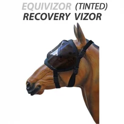 Provizor Products Equivizor Tinted Recovery Vizor PONY