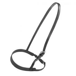 Jacks Inc. Beta Training Caveson HORSE